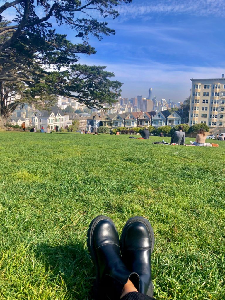 The Painted Ladies, San Francisco, CA 